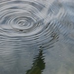 MakingRipples