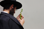 http://www.dreamstime.com/royalty-free-stock-photos-market-eve-sukkot-image20961638