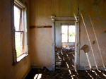In the Wreckage