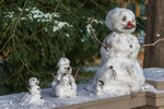 SnowFamily