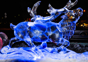 ice reindeer - morguefile
