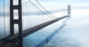 into the fog - modestas_urbonas-cc0