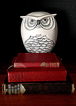 books-with-owl