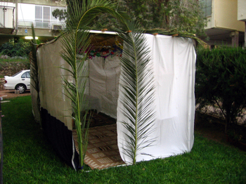 sukkah
